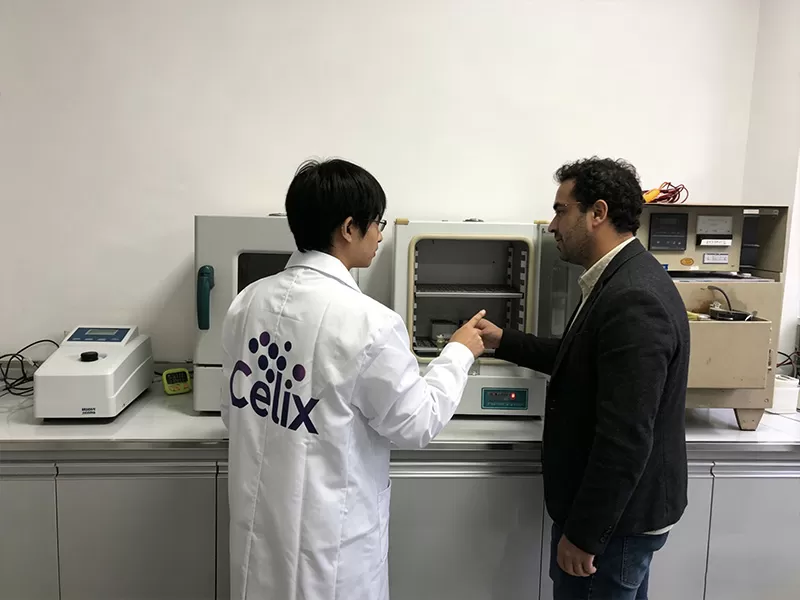 Suporte Técnico Presencial