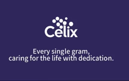 Por que projetos de construção globais confiam na Celix